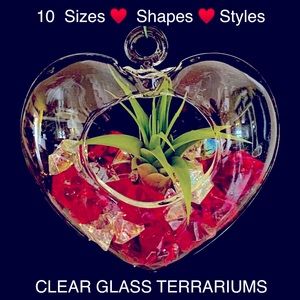 CLEAR GLASS TERRARIUMS Information Only Available Varieties, 10 - Sizes & Shapes